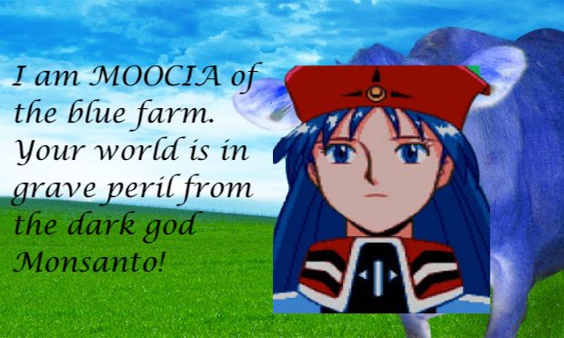 MOOCIA.jpg